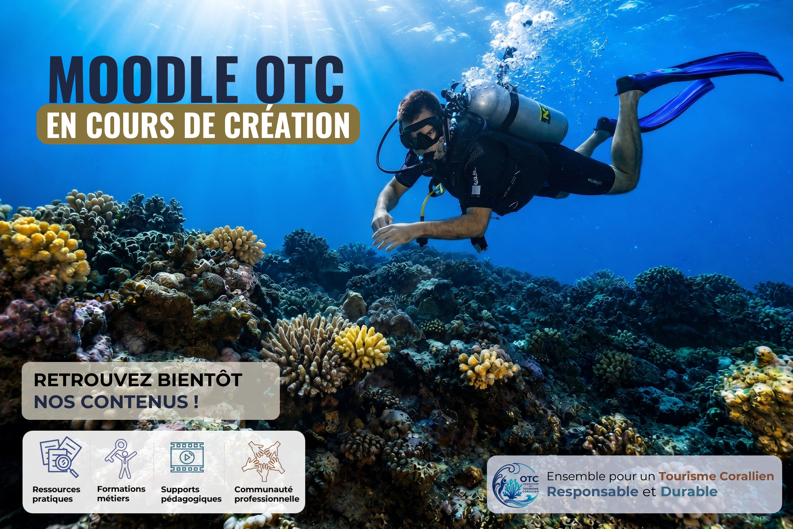 Plongeur observant le corail